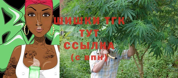твердый Снежногорск