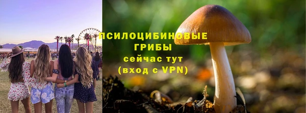 СК Гусь-Хрустальный
