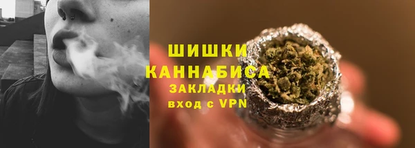 прущая мука Дмитриев