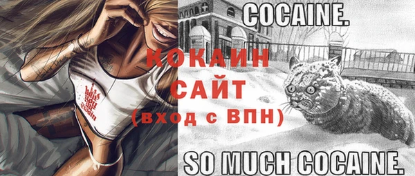прущий лед Гусев