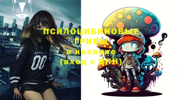 прущий лед Гусев